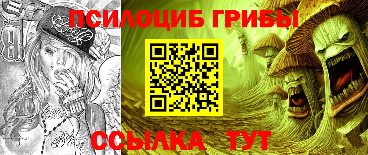 наркота  Галлюциногенные грибы мухоморы  Хабаровск  Вход с VPN  Псилоцибиновые грибы Psilocybe 