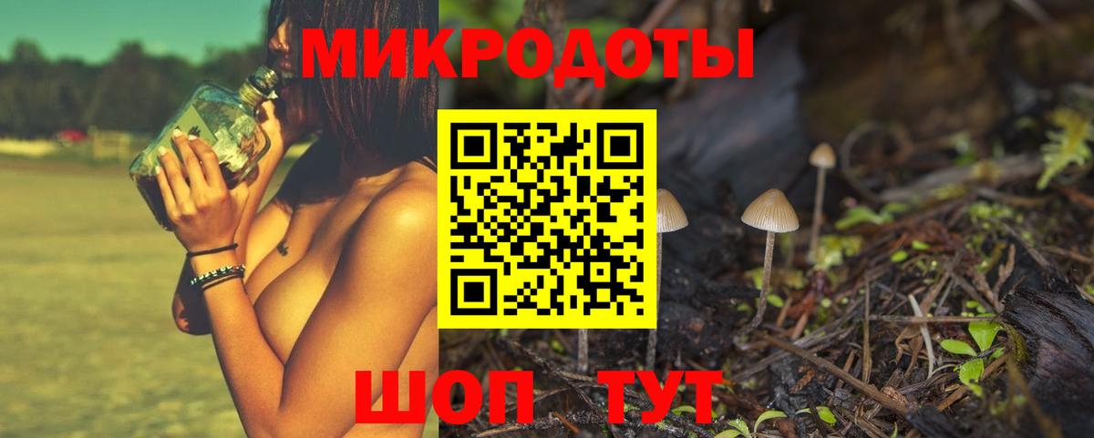 Галлюциногенные грибы Cubensis Хабаровск